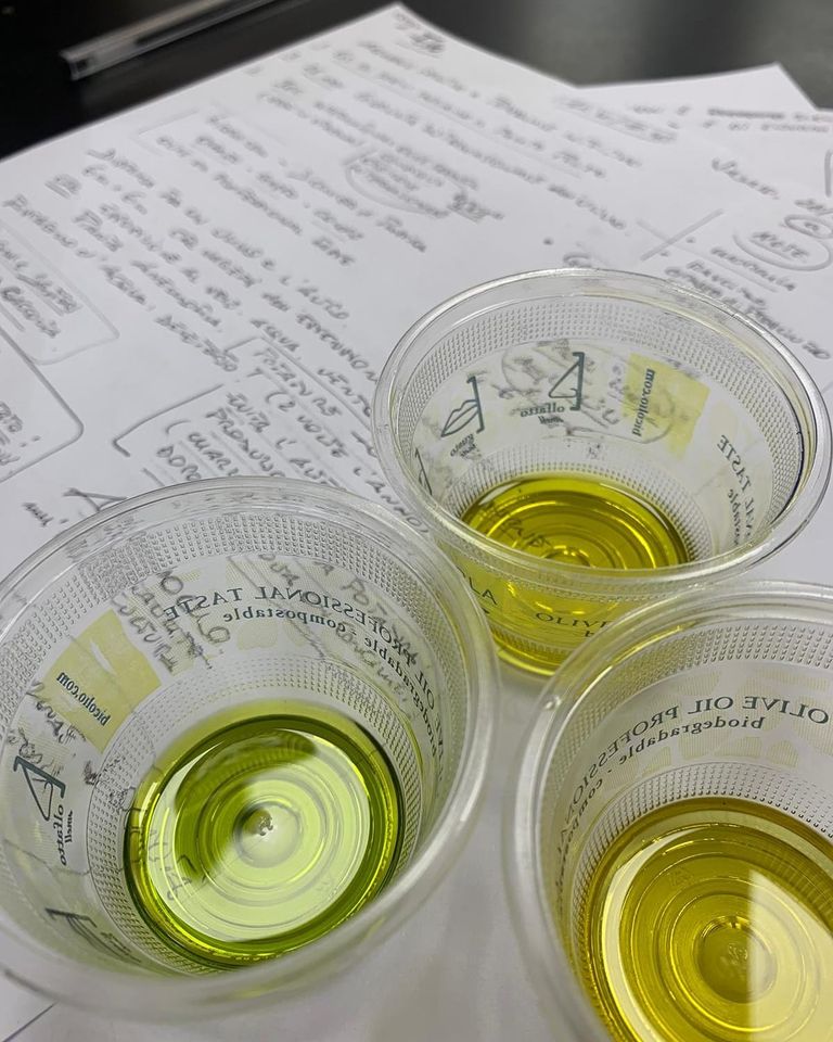 Corso di formazione sull’olio extravergine di oliva