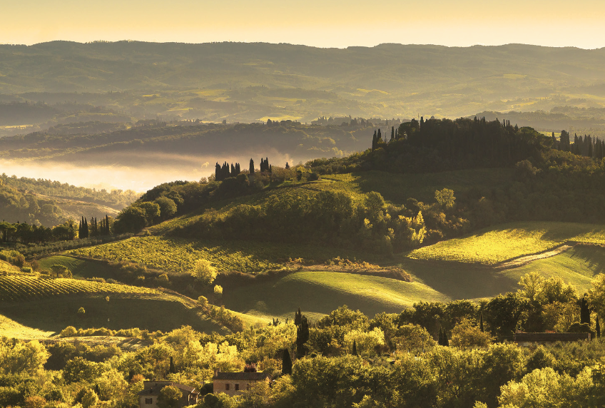 Il Frantoio di San Gimignano