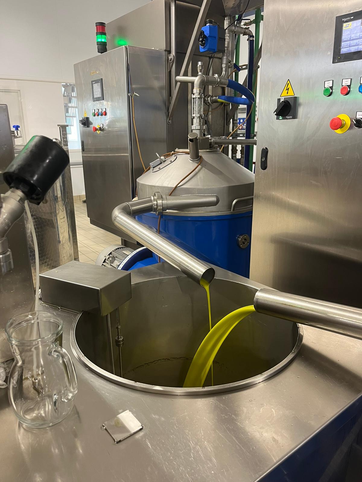 Intorno all’Olio