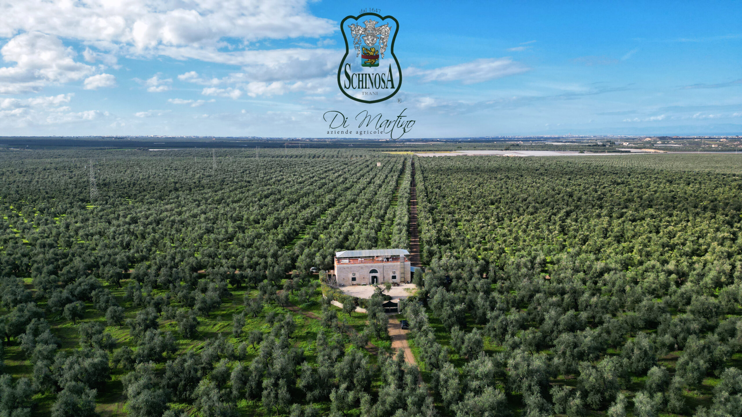 Aziende Agricole Di Martino