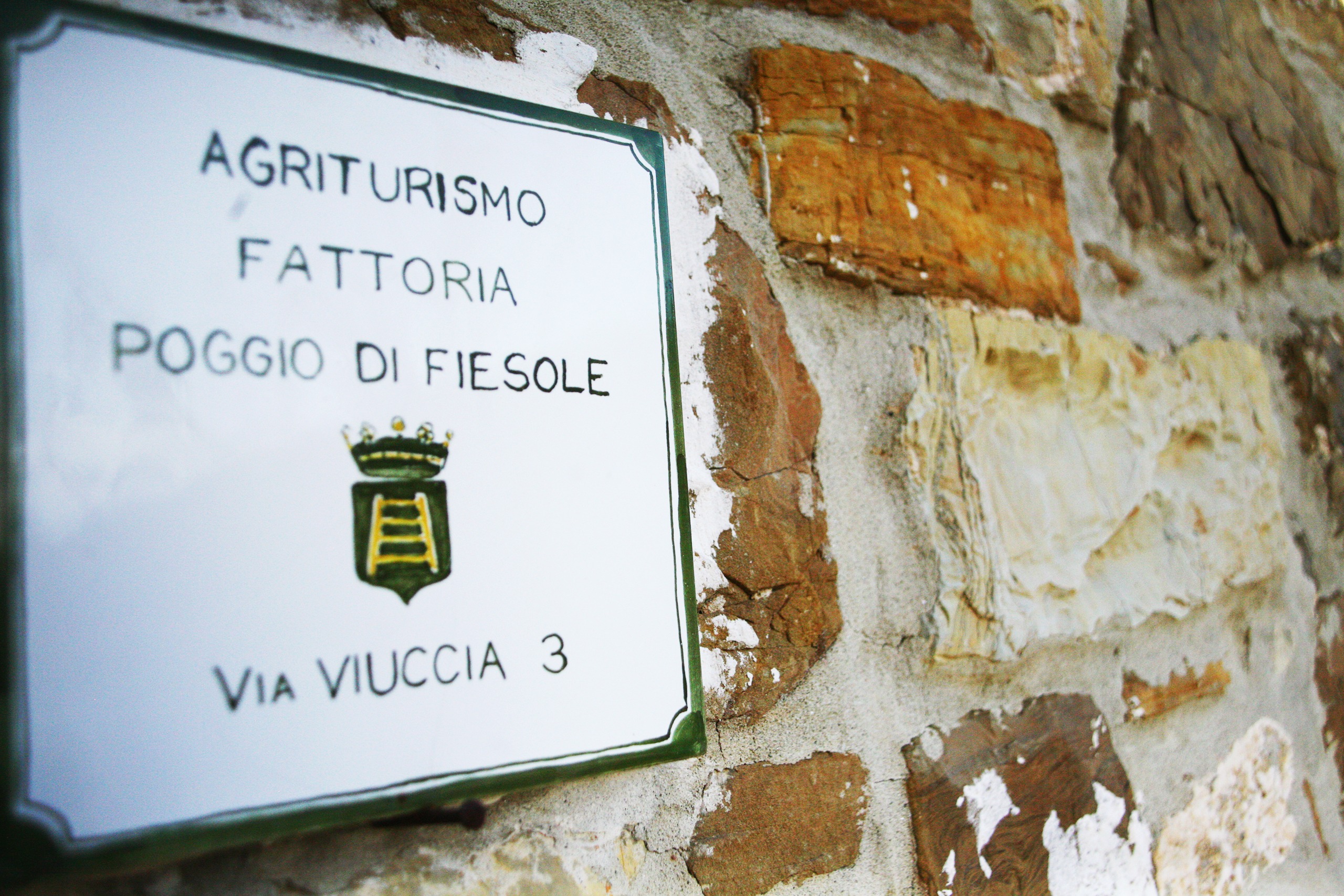Visite didattiche della Fattoria, degustazione dell’olio biologico