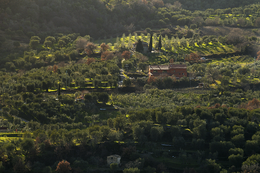 Poderi Borselli